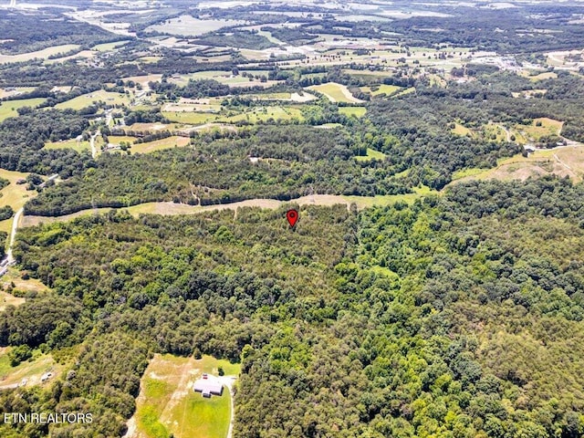Mohawk Ridge Rd, Bulls Gap, TN 37711 - photo 12