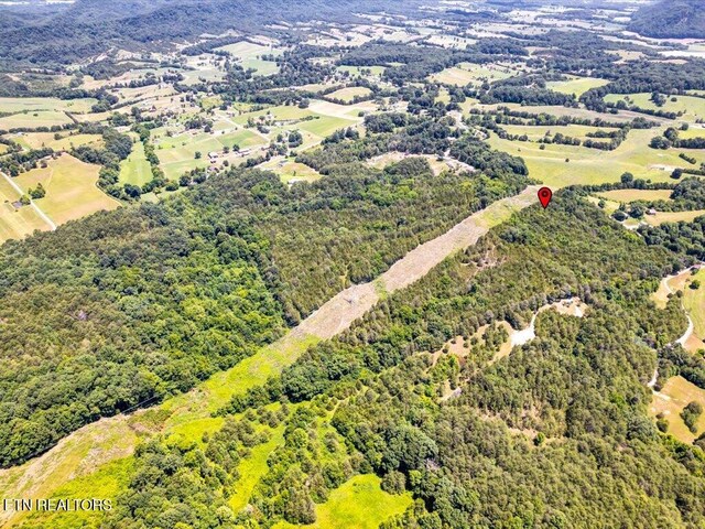 Mohawk Ridge Rd, Bulls Gap, TN 37711 - photo 14