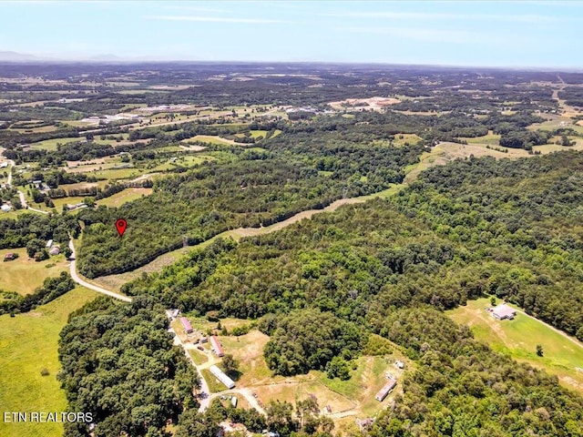 Mohawk Ridge Rd, Bulls Gap, TN 37711 - photo 19