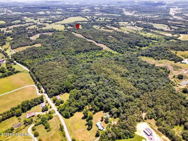 Mohawk Ridge Rd, Bulls Gap, TN 37711 - photo 22