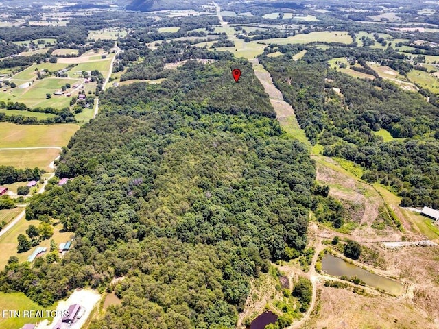 Mohawk Ridge Rd, Bulls Gap, TN 37711 - photo 23