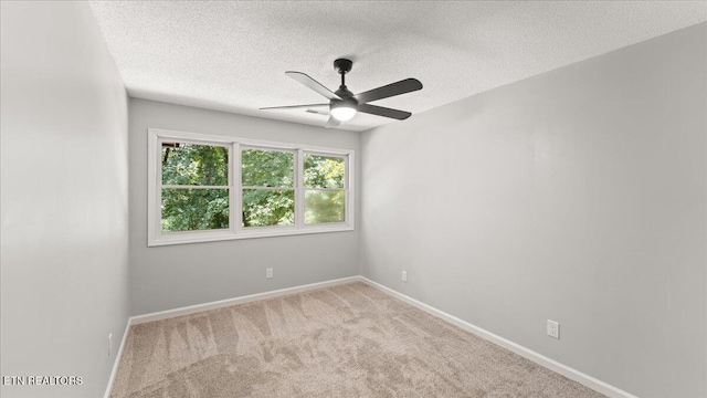 109 Oakland Ln, Sweetwater, TN 37874 - photo 29