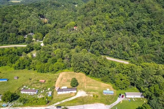 431 High Ridge Ct, Maynardville, TN 37807 - photo 19