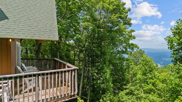 1571 Zermatt Dr, Gatlinburg, TN 37738 - photo 42