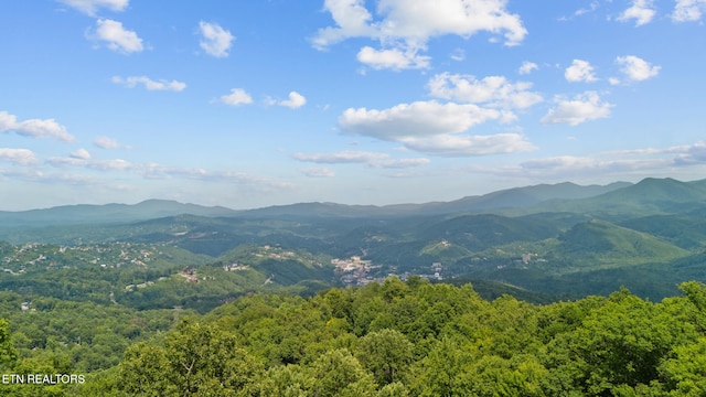 1571 Zermatt Dr, Gatlinburg, TN 37738 - photo 46