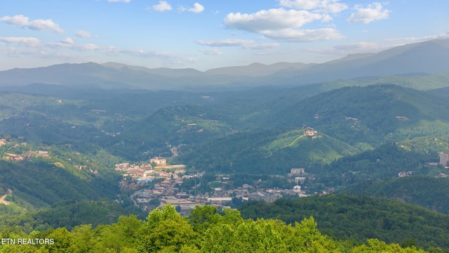1571 Zermatt Dr, Gatlinburg, TN 37738 - photo 47