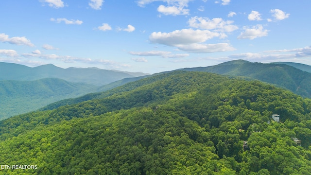 1571 Zermatt Dr, Gatlinburg, TN 37738 - photo 45