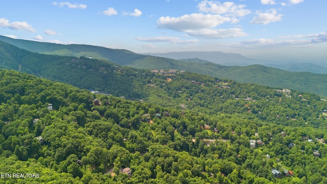 1571 Zermatt Dr, Gatlinburg, TN 37738 - photo 48