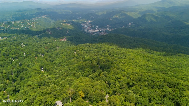 1571 Zermatt Dr, Gatlinburg, TN 37738 - photo 49
