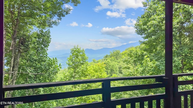 1571 Zermatt Dr, Gatlinburg, TN 37738 - photo 27