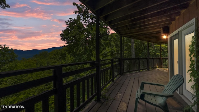 1571 Zermatt Dr, Gatlinburg, TN 37738 - photo 26