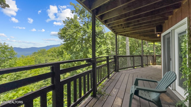 1571 Zermatt Dr, Gatlinburg, TN 37738 - photo 25