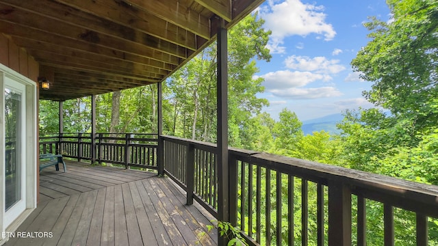 1571 Zermatt Dr, Gatlinburg, TN 37738 - photo 28