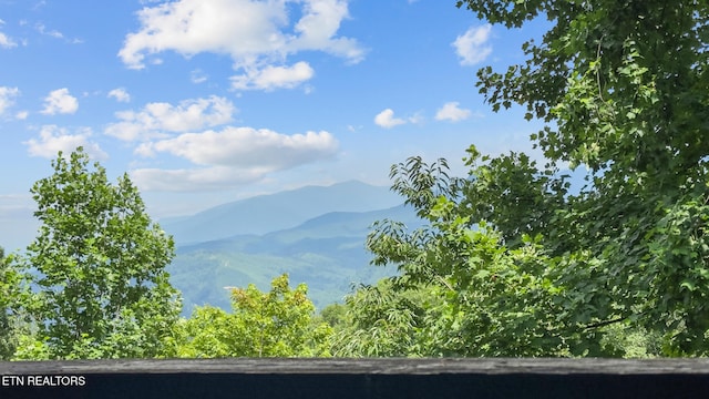 1571 Zermatt Dr, Gatlinburg, TN 37738 - photo 9