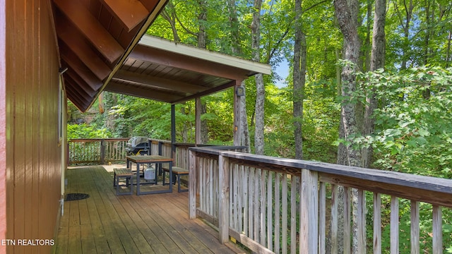 1571 Zermatt Dr, Gatlinburg, TN 37738 - photo 10