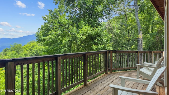 1571 Zermatt Dr, Gatlinburg, TN 37738 - photo 7