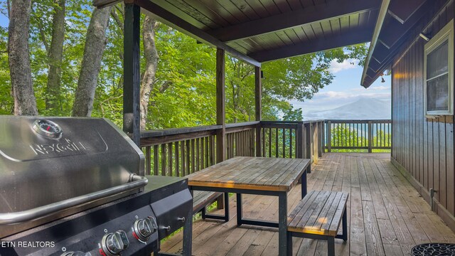 1571 Zermatt Dr, Gatlinburg, TN 37738 - photo 11