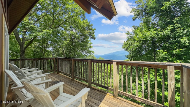 1571 Zermatt Dr, Gatlinburg, TN 37738 - photo 8