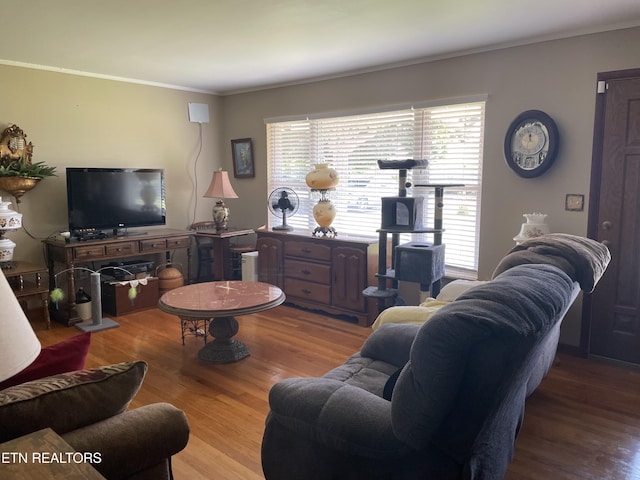 636 N Washington Ave, Etowah, TN 37331 - photo 12