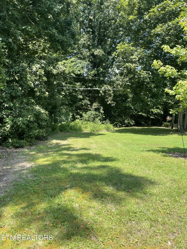 636 N Washington Ave, Etowah, TN 37331 - photo 42