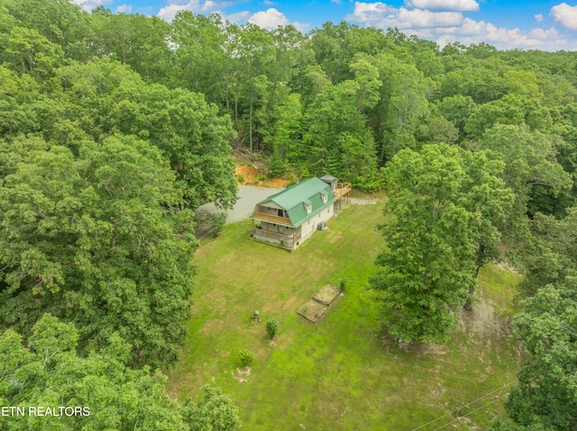 319 De Armond Rd, Kingston, TN 37763 - photo 8