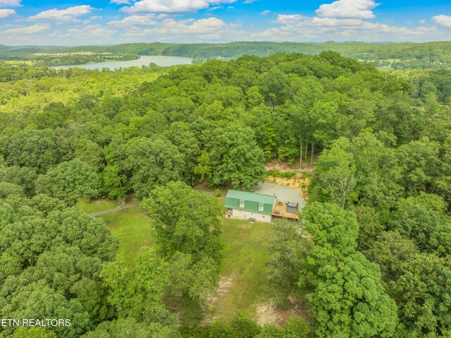 319 De Armond Rd, Kingston, TN 37763 - photo 15