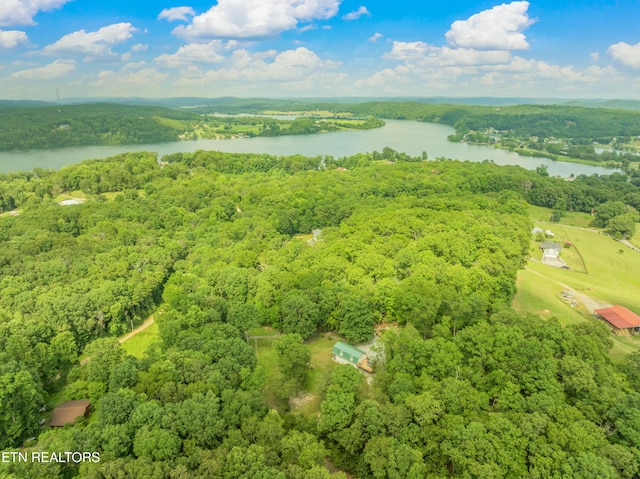 319 De Armond Rd, Kingston, TN 37763 - photo 21