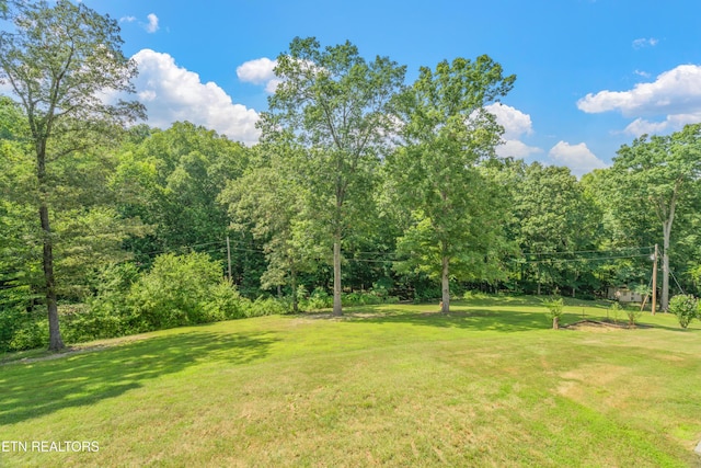 319 De Armond Rd, Kingston, TN 37763 - photo 26