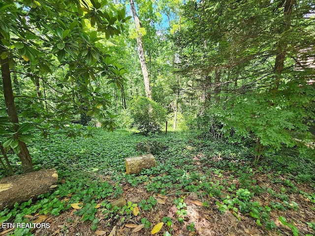 8031 Shady Ln, Powell, TN 37849 - photo 3