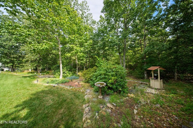 156 Mountain View Dr, Crossville, TN 38558 - photo 43