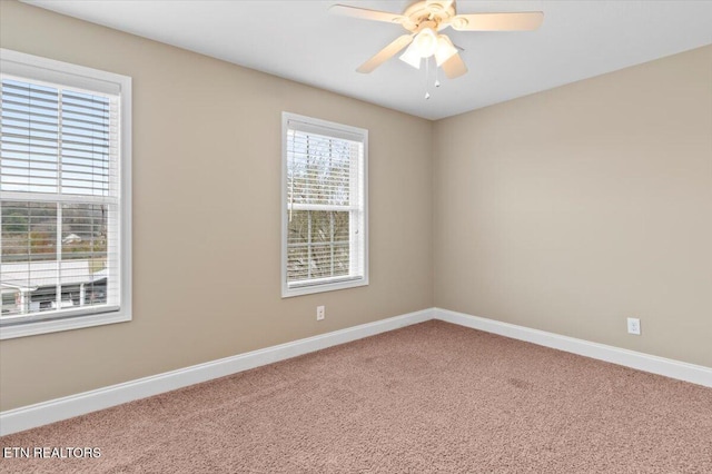 168 Thelma Cir, Jacksboro, TN 37757 - spare room with carpet flooring and ceiling fan