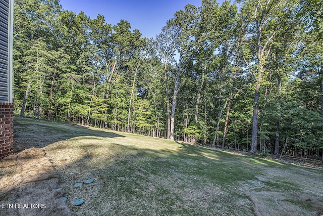 115 Sasa Way, Loudon, TN 37774 - photo 54