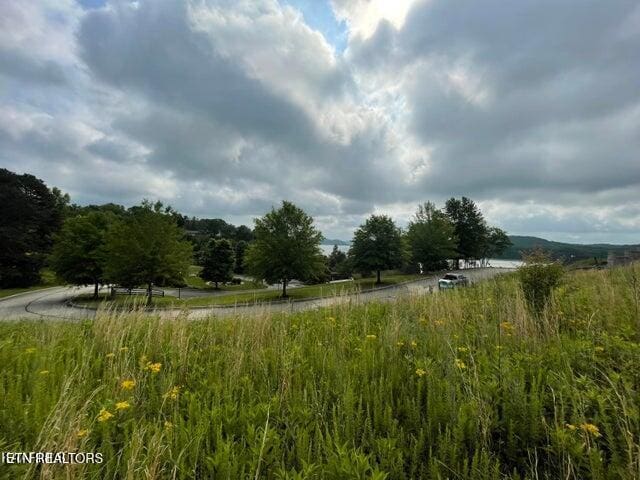Serenity Dr, Harriman, TN 37748 - photo 6