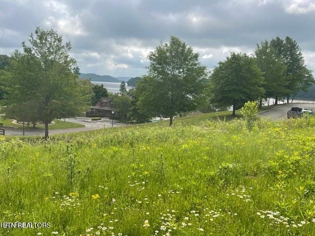 Serenity Dr, Harriman, TN 37748 - photo 4