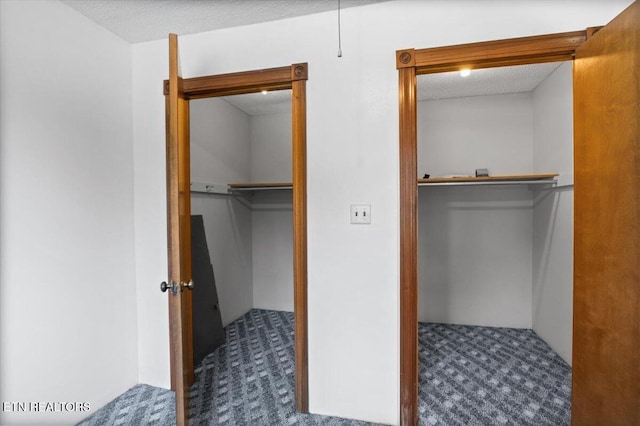 261 Lance Ln, Lafollette, TN 37766 - view of closet