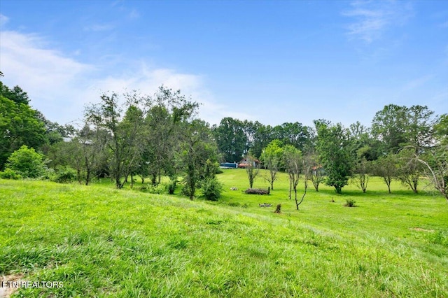 261 Lance Ln, Lafollette, TN 37766 - view of yard featuring a view of rural / pastoral area and view of scattered trees
