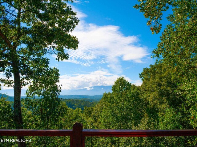 2251 Upper Middle Creek Rd Unit 6, Sevierville, TN 37876 - photo 33