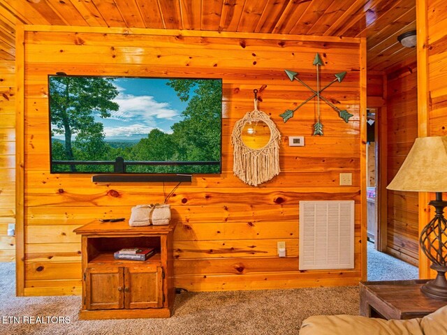 2251 Upper Middle Creek Rd Unit 6, Sevierville, TN 37876 - photo 30