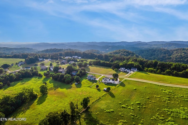 3938 Settlers Trl, Kodak, TN 37764 - overview of rural landscape with a mountain backdrop