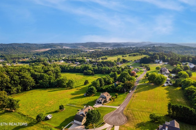 3938 Settlers Trl, Kodak, TN 37764 - bird's eye view of mountains