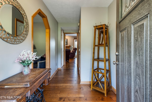 3938 Settlers Trl, Kodak, TN 37764 - hall with hardwood / wood-style flooring and baseboards