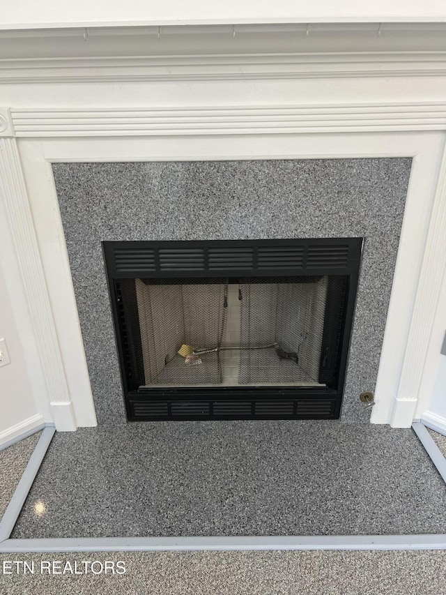 1884 Elmhurst Way, Knoxville, TN 37923 - detailed view of a premium fireplace