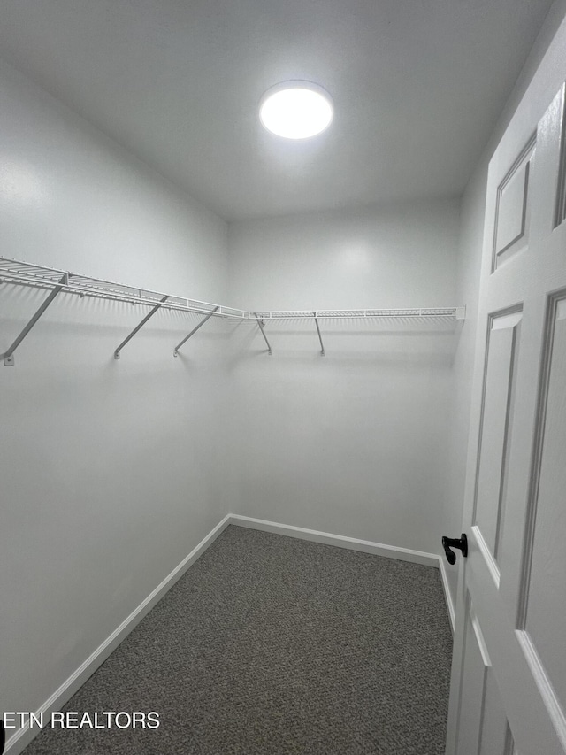 1884 Elmhurst Way, Knoxville, TN 37923 - spacious closet with carpet flooring
