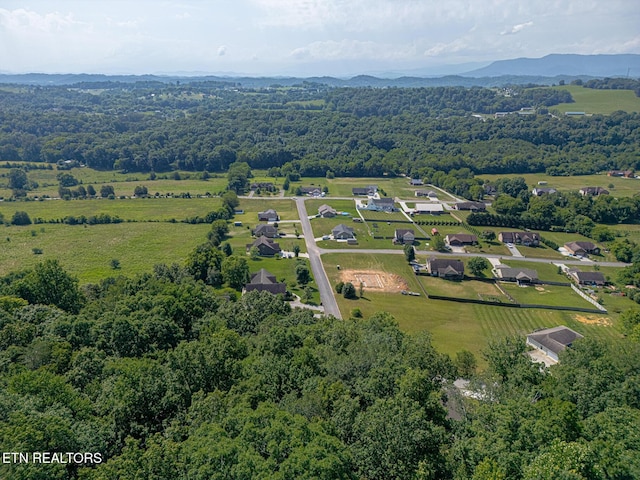 LOT41-R1 Bobbie Jean Ln, Seymour, TN 37865 - photo 8