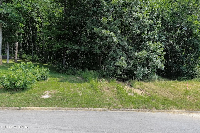 LOT41-R1 Bobbie Jean Ln, Seymour, TN 37865 - photo 1
