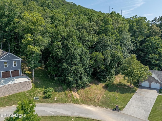 LOT41-R1 Bobbie Jean Ln, Seymour, TN 37865 - photo 4