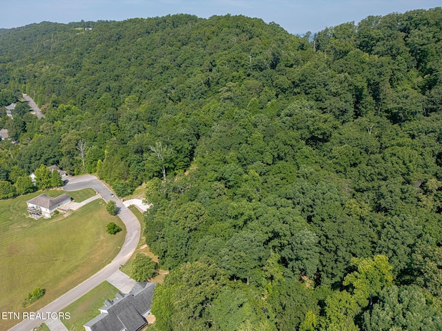 LOT41-R1 Bobbie Jean Ln, Seymour, TN 37865 - photo 6