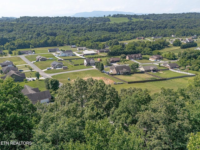 LOT41-R1 Bobbie Jean Ln, Seymour, TN 37865 - photo 9