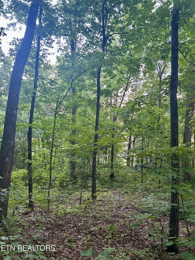 LOT41-R1 Bobbie Jean Ln, Seymour, TN 37865 - photo 3