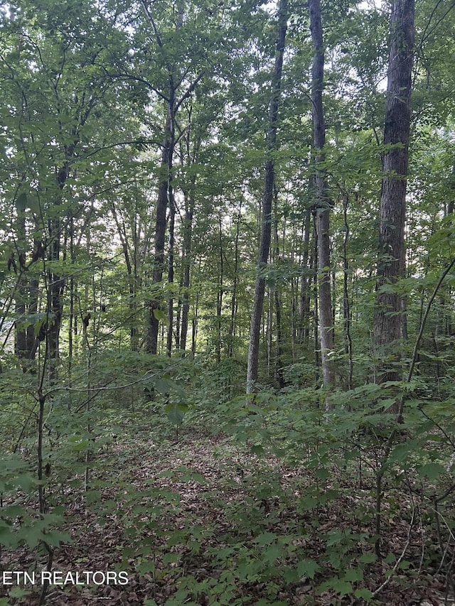 LOT41-R1 Bobbie Jean Ln, Seymour, TN 37865 - photo 10